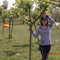 /photo/725464/wowo/22 写_1_5_small.jpg